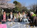 花見201048 009